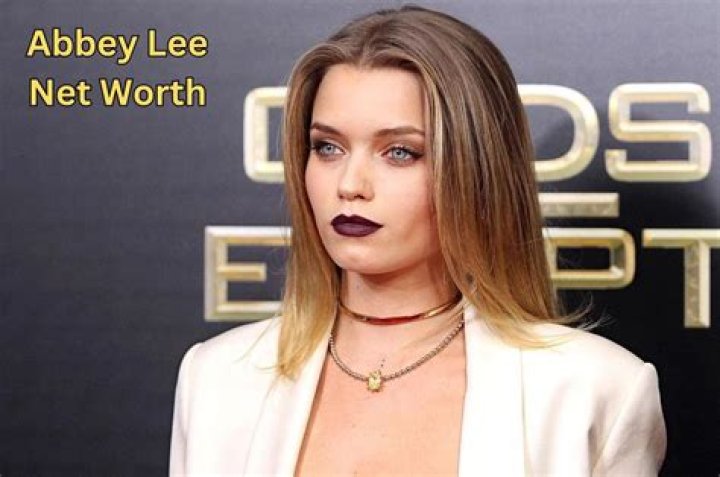 Abbey Lee Net Worth 2023 Earnings Assets and Salary