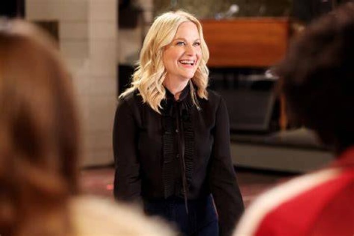 Amy Poehler Has a &lsquo;Parks and Recreation&rsquo; Reunion in the Works