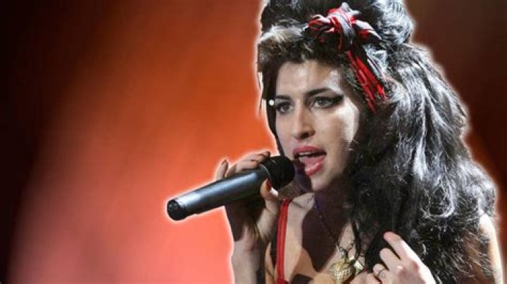 Amy Winehouse died of alcohol withdrawal, source says