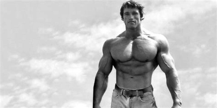 Arnold Schwarzenegger Net Worth 2018 Wiki, Married, Family, Wedding