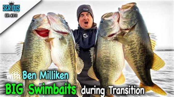 BEN MILLIKEN on Big SWIMBAITS During Summer to Fall Transition YouTube