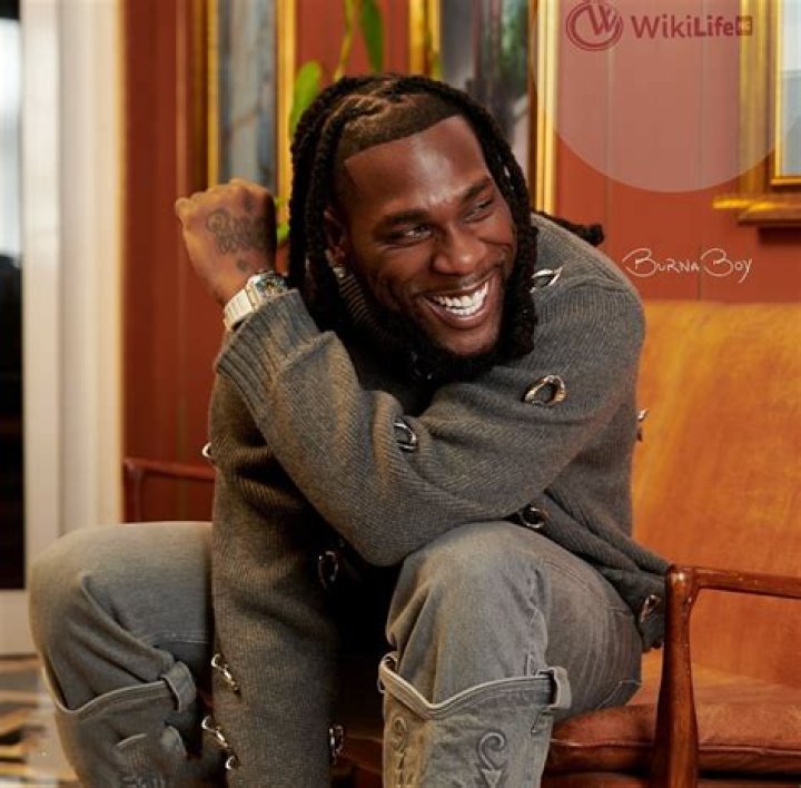 Biography of Burna Boy; Musics, Career, Net Worth and Awards Contents101