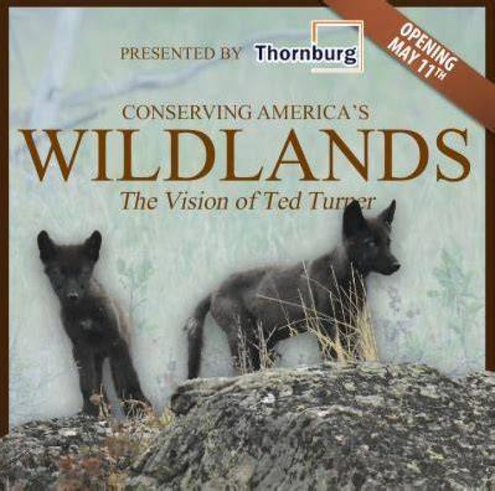Conserving America&rsquo;s Wildlands The Vision of Ted Turner Mountain Living