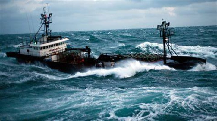 Deadliest Catch's Sig Hansen Hates When People Refer To The Show As