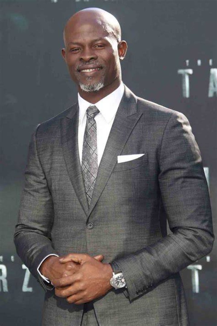 Djimon Hounsou Net Worth Plenty Of Cheddar
