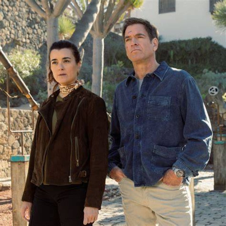 Does Cote de Pablo Have Kids ? Grab A Byte