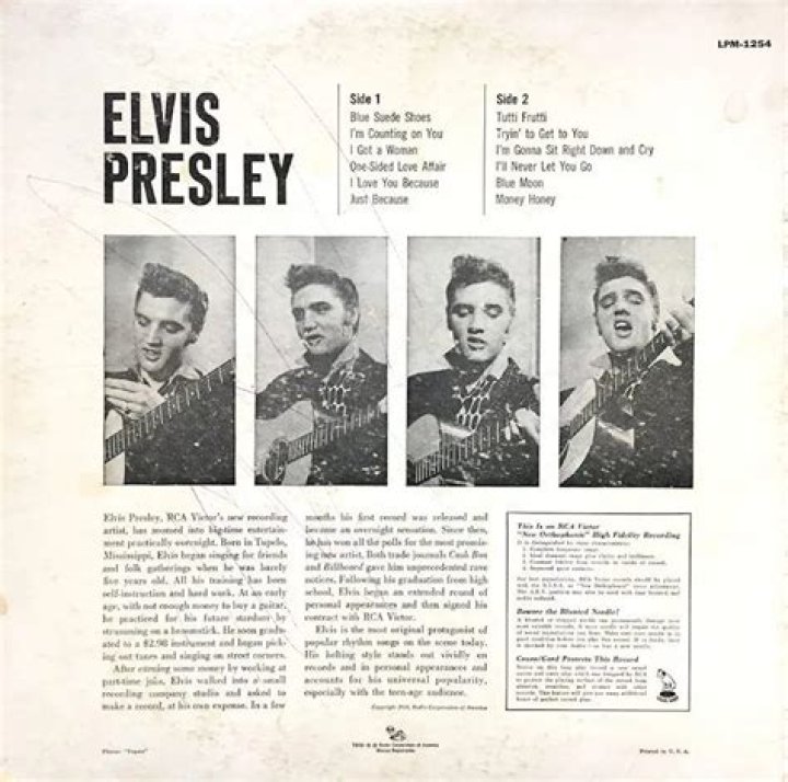 Elvis Presley (19351977) Gone, But Not Photo (44605759