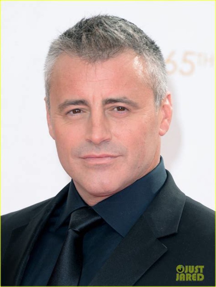 Emmys Watch Matt LeBlanc on 'Episodes' The New York Times