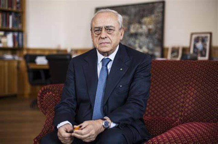 Francesco Gaetano Caltagirone al Financial Times, dopo Monti un Monti