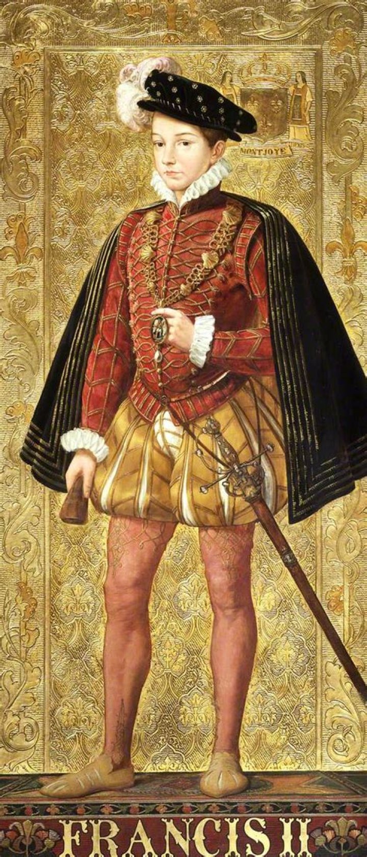 Francis II Of France Biography Facts, Childhood, Family Life