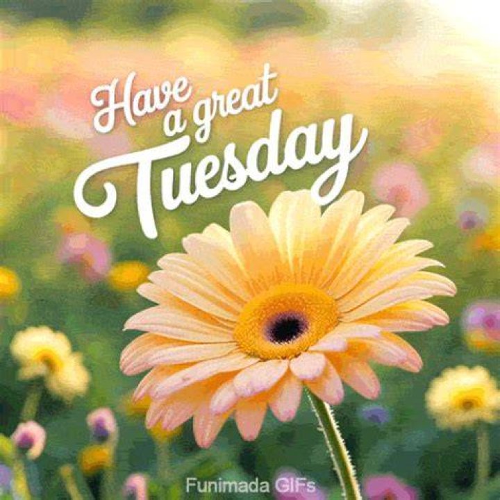 Great Tuesday Morning!!!! You gotta... Fred Blankenship Facebook