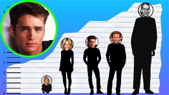 How Tall Is Jason Priestley? Height Comparison! YouTube