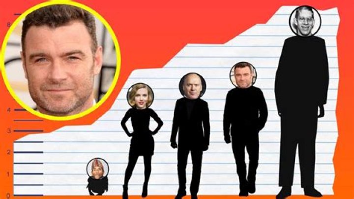 How Tall Is Liev Schreiber? Height Comparison! YouTube
