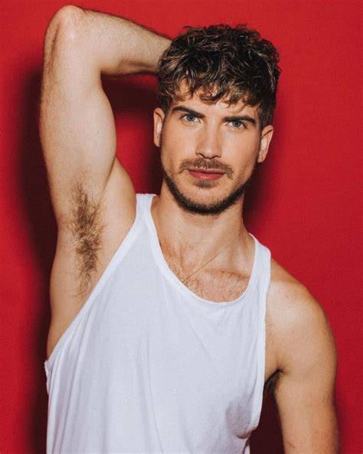 Joey Graceffa's Net Worth Budget and the Bees