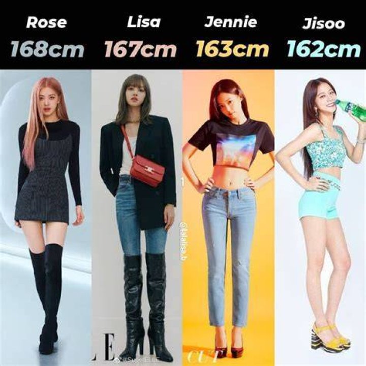 Lisa Height and Weight Celebrity Weight Page 3