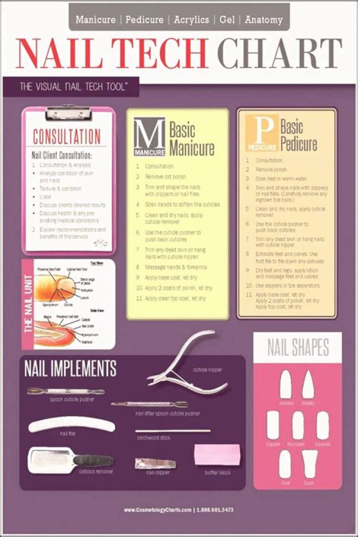 Nail Tech Chart 2 Sided Laminated Quick Reference Guide Cosmetology