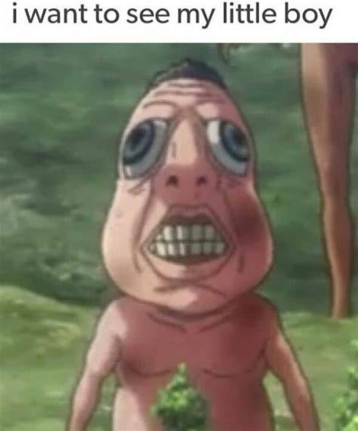 Nuuuuuu Attack on titan funny, Anime funny, Twd funny