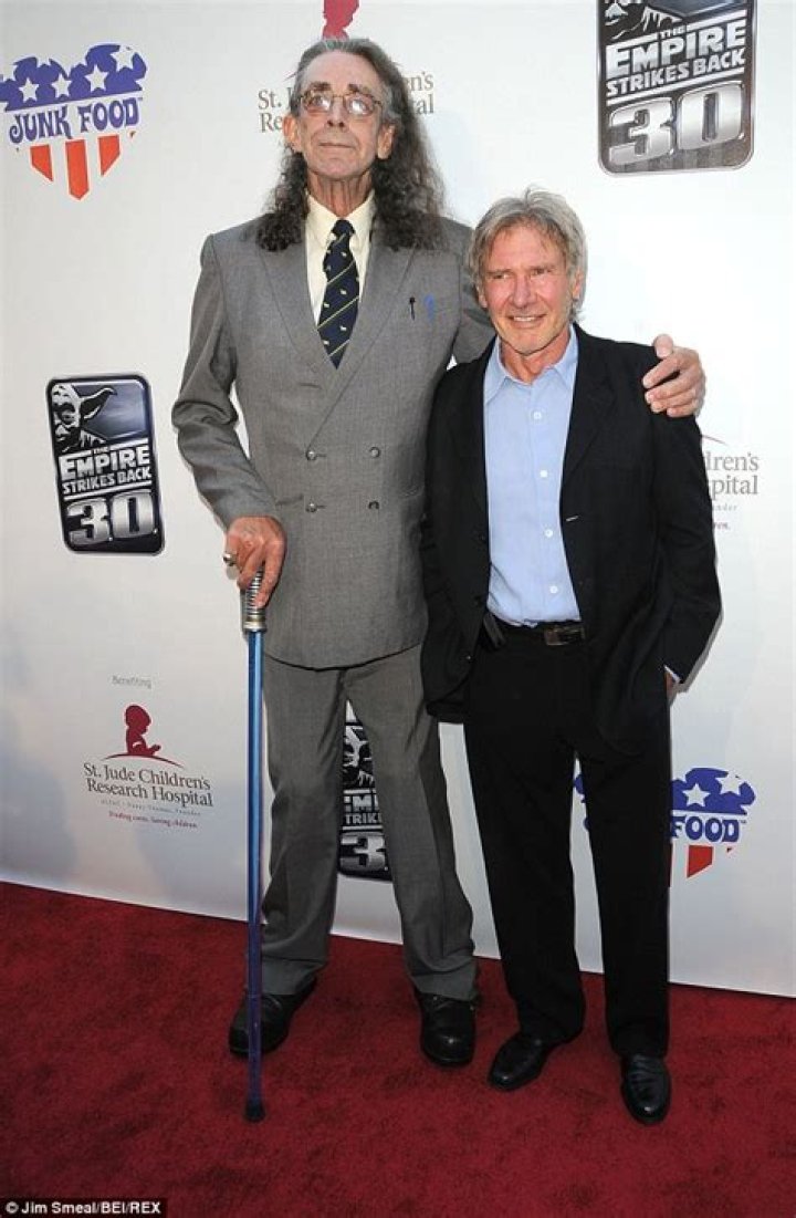 Peter Mayhew Net Worth Short bio, age, height, weight Net Worth