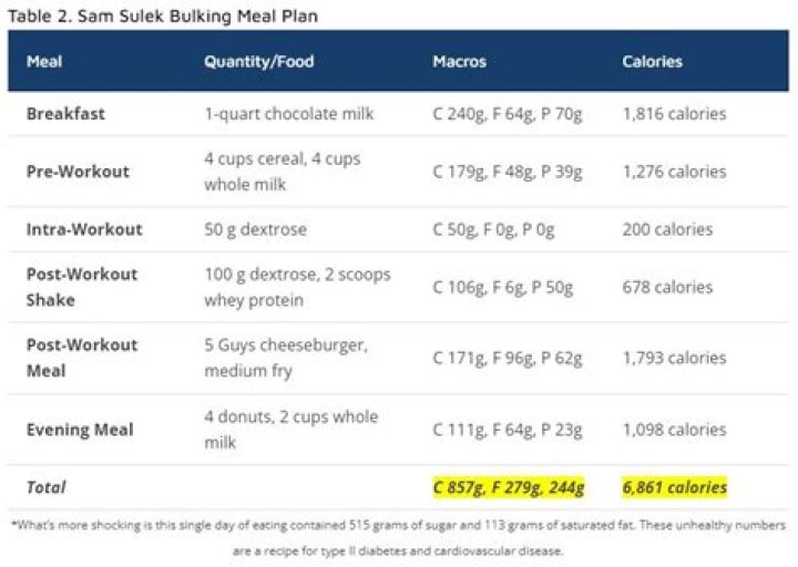 Sam Sulek Diet Plan and Workout Routine (October 2023) Tikkay Khan