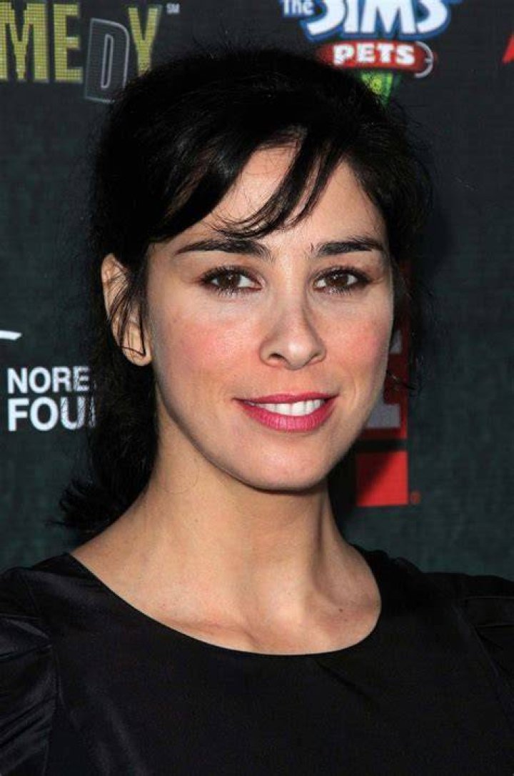 Sarah Silverman's Romantic Life Facts about Her Partner Rory Albanese