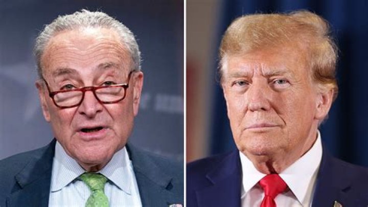 Schumer Trump is not above the law