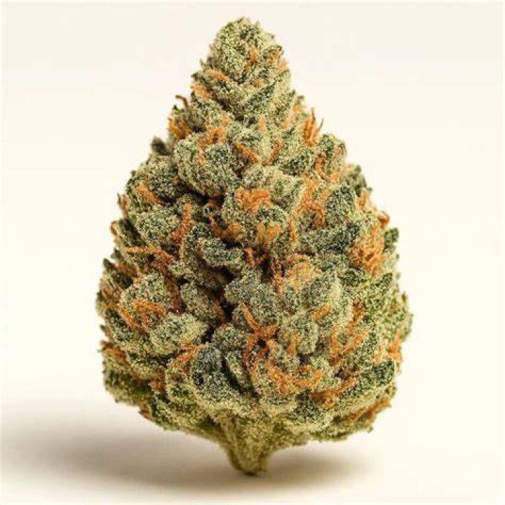 Top 5 Vibe Cannabis Strains Terrabis Find Your Calm
