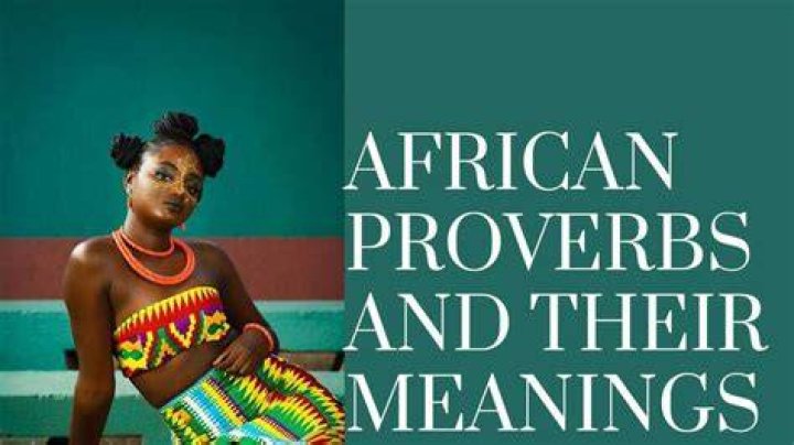 Top 50 African proverbs and meanings that you should know Legit.ng