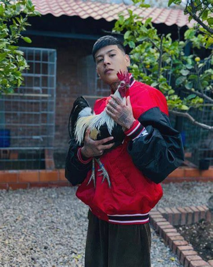 Tornillo V&aacute;zquez on Instagram &ldquo;Poes&iacute;a callejera🐲San Luis Potos&iacute; en el