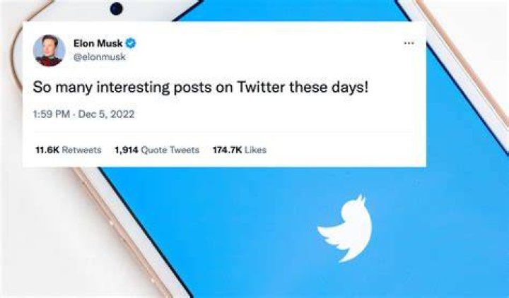 Twitter Users Tell Elon Musk to Quit as CEO in His Own Poll LAmag