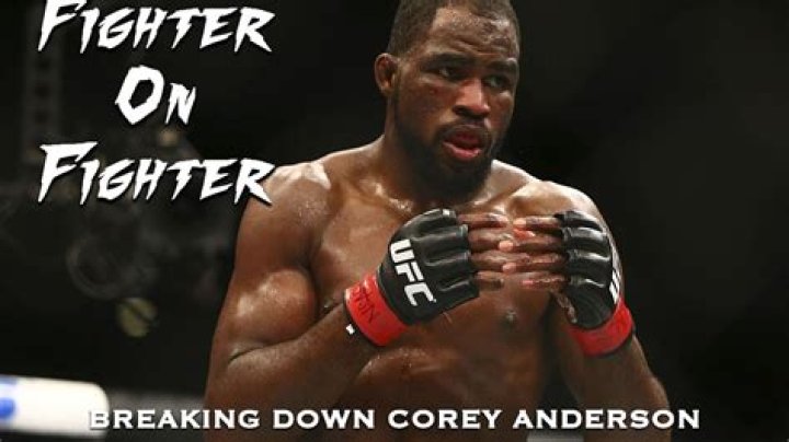 UFC Fighter Corey Anderson's Wife Jenny D&rsquo;Acquisto; How is their