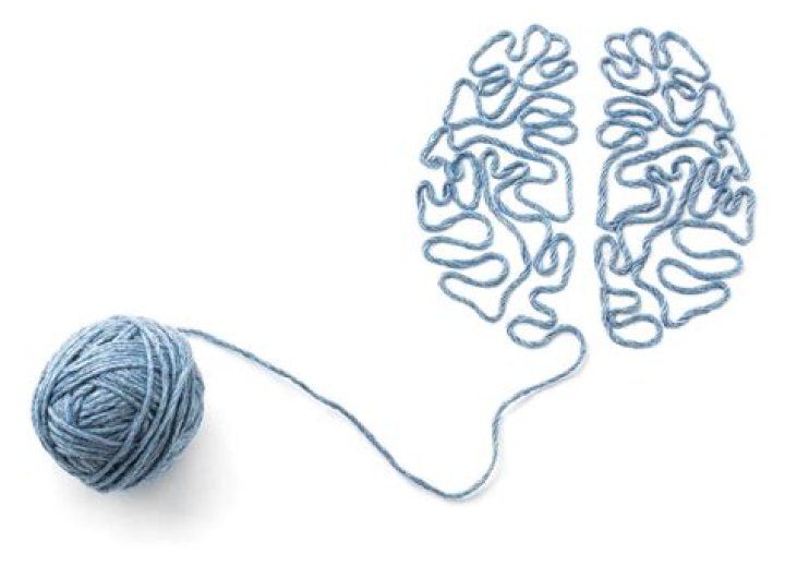 Unraveling The Brain's Mysteries: Discoveries From Daniel Laurie
