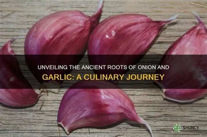 Unveiling The Culinary Roots: Marion Grasby's Parents' Enduring Influence