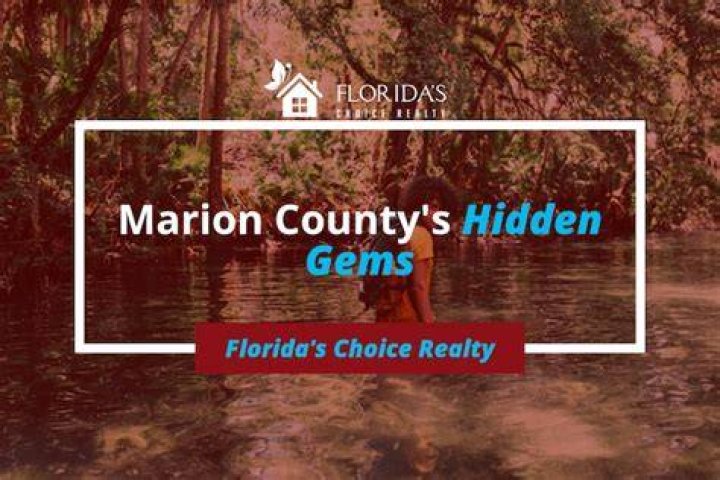 Unveiling The World Of Marion Grasby's Husband: Discoveries And Insights