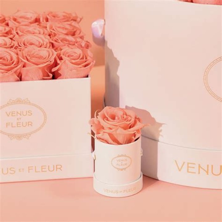 Venus Et Fleur Review Consumer Spy
