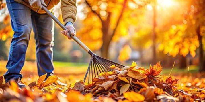 Wu Yibing From Raking Leaves To The US Open Spotlight Live Scores