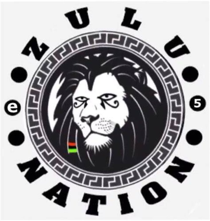 Zulu nation 'planting' King Goodwill Zwelithini in South Africa Daily
